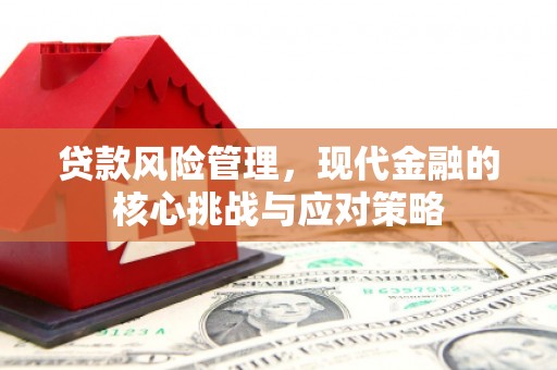 顺庆贷款风险管理，现代金融的核心挑战与应对策略