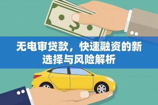 顺庆无电审贷款，快速融资的新选择与风险解析
