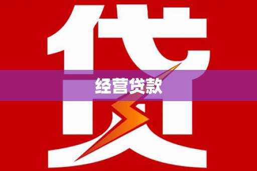 顺庆经营贷款