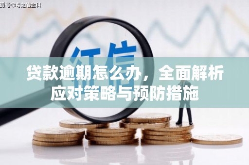 顺庆贷款逾期怎么办，全面解析应对策略与预防措施