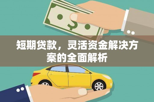 顺庆短期贷款，灵活资金解决方案的全面解析