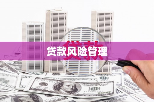 顺庆贷款风险管理