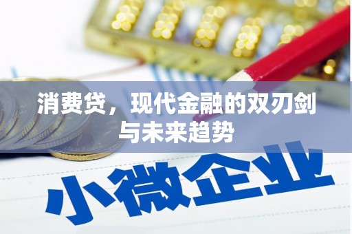顺庆消费贷，现代金融的双刃剑与未来趋势