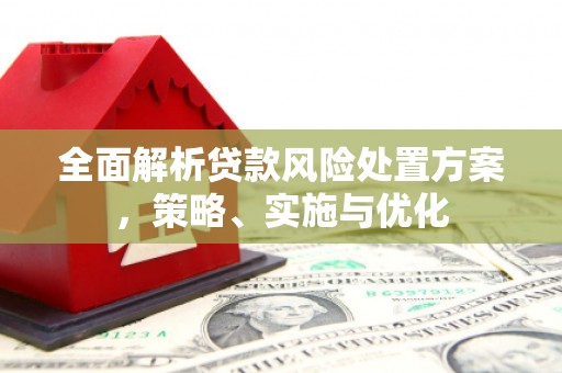 顺庆全面解析贷款风险处置方案，策略、实施与优化