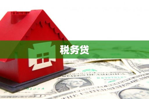 顺庆税务贷