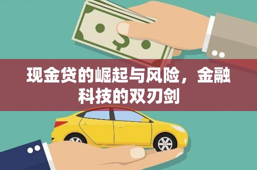 顺庆现金贷的崛起与风险，金融科技的双刃剑