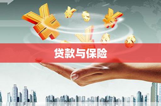 顺庆贷款与保险