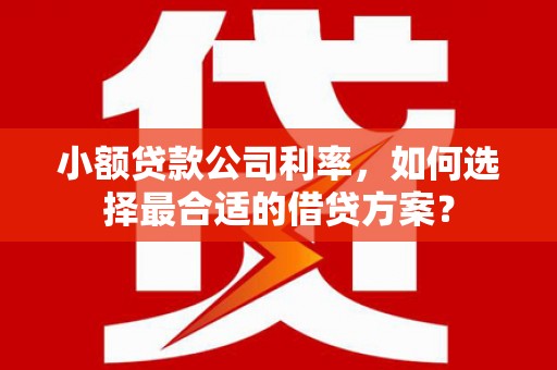 顺庆小额贷款公司利率，如何选择最合适的借贷方案？
