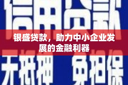 顺庆银盛贷款，助力中小企业发展的金融利器