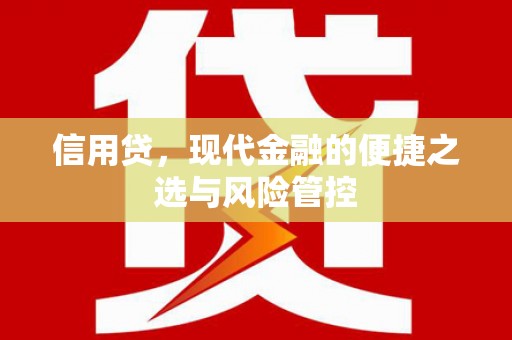 顺庆信用贷，现代金融的便捷之选与风险管控