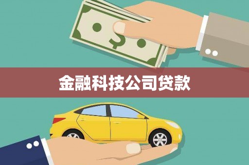 顺庆金融科技公司贷款