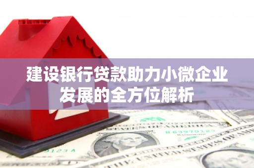 顺庆建设银行贷款助力小微企业发展的全方位解析