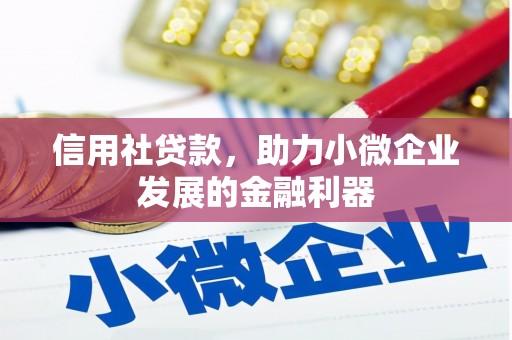 顺庆信用社贷款，助力小微企业发展的金融利器