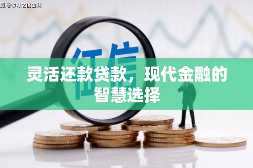 顺庆灵活还款贷款，现代金融的智慧选择