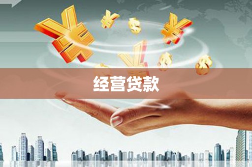 顺庆经营贷款