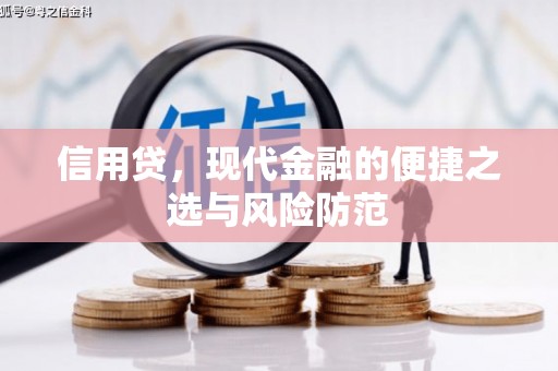 顺庆信用贷，现代金融的便捷之选与风险防范