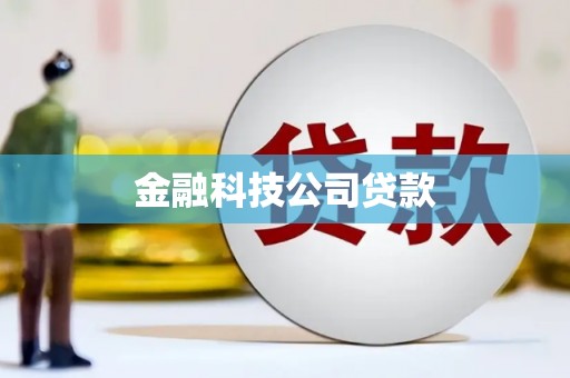 顺庆金融科技公司贷款