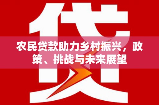 顺庆农民贷款助力乡村振兴，政策、挑战与未来展望