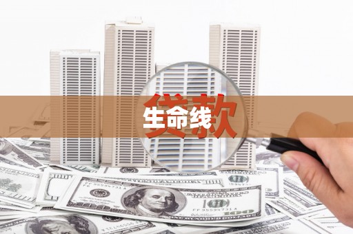 顺庆生命线