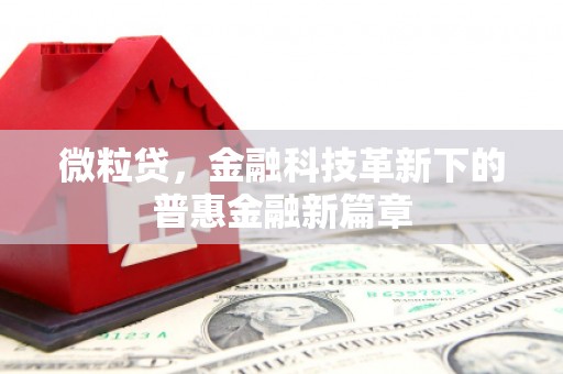 顺庆微粒贷，金融科技革新下的普惠金融新篇章