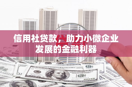 顺庆信用社贷款，助力小微企业发展的金融利器