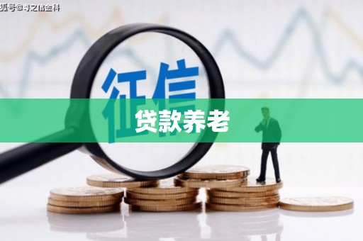顺庆贷款养老
