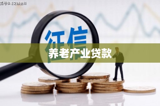 顺庆养老产业贷款
