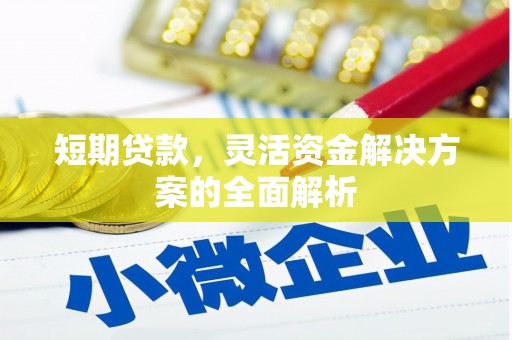 顺庆短期贷款，灵活资金解决方案的全面解析