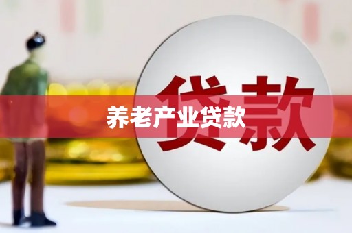 顺庆养老产业贷款