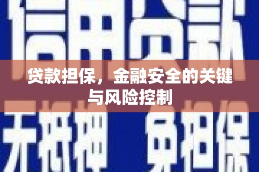 顺庆贷款担保，金融安全的关键与风险控制