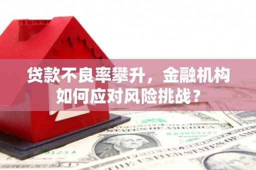 顺庆贷款不良率攀升，金融机构如何应对风险挑战？