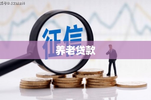 顺庆养老贷款