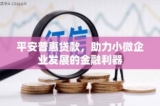 顺庆平安普惠贷款，助力小微企业发展的金融利器