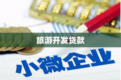 顺庆旅游开发贷款