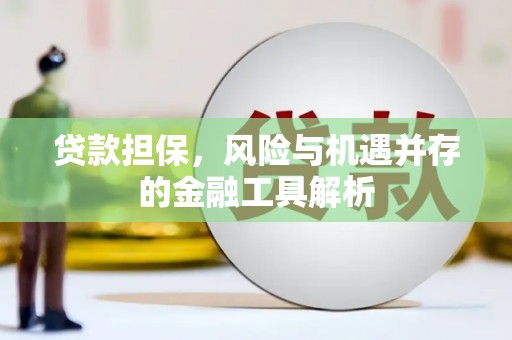 顺庆贷款担保，风险与机遇并存的金融工具解析