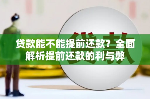 顺庆贷款能不能提前还款？全面解析提前还款的利与弊