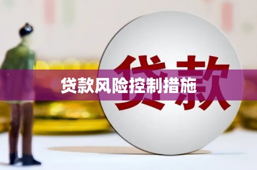 顺庆贷款风险控制措施
