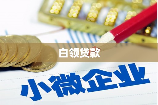 顺庆白领贷款