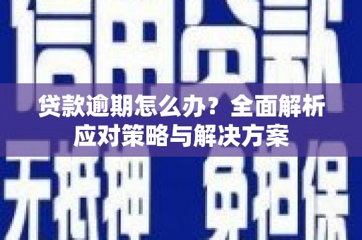顺庆贷款逾期怎么办？全面解析应对策略与解决方案