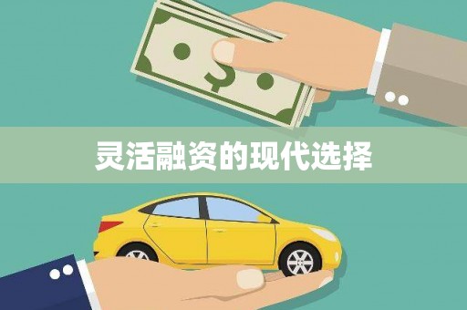 顺庆灵活融资的现代选择