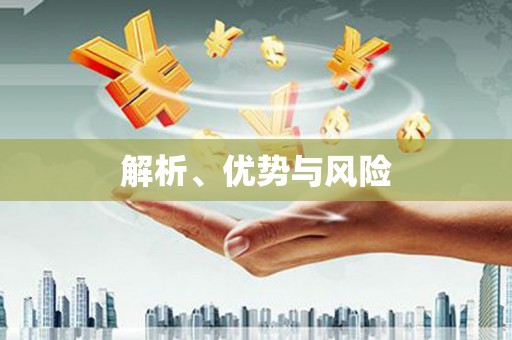 顺庆解析、优势与风险
