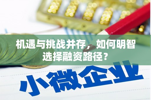 顺庆机遇与挑战并存，如何明智选择融资路径？
