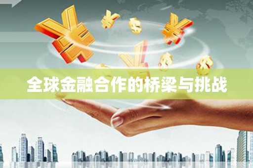 顺庆全球金融合作的桥梁与挑战