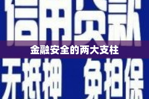 顺庆金融安全的两大支柱