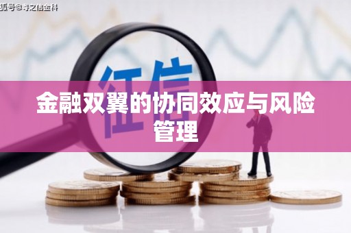顺庆金融双翼的协同效应与风险管理