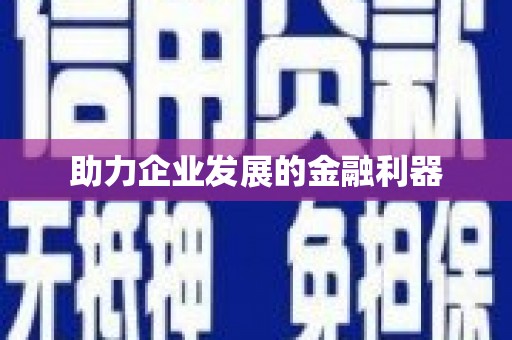 顺庆助力企业发展的金融利器