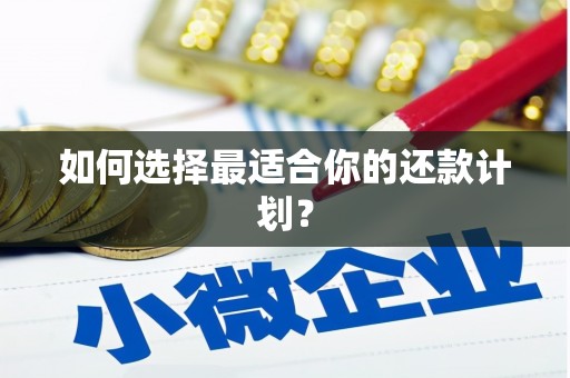 顺庆如何选择最适合你的还款计划？