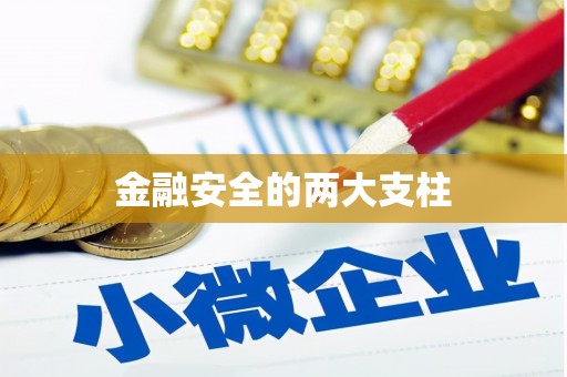 顺庆金融安全的两大支柱