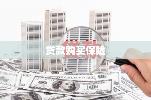 顺庆贷款购买保险