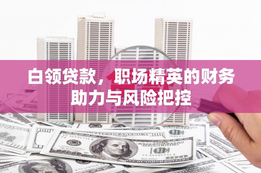 顺庆白领贷款，职场精英的财务助力与风险把控